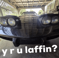 Y R U Laffin GIF
