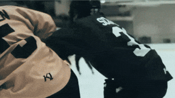 Hockey Fail GIF