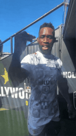 GIF by Sharks Rugby