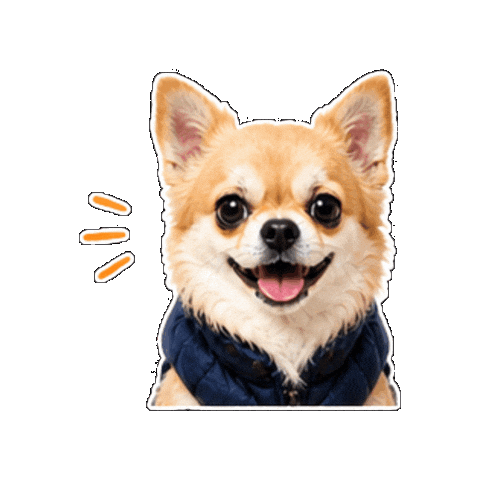 Taco Sticker by Smartsourcing