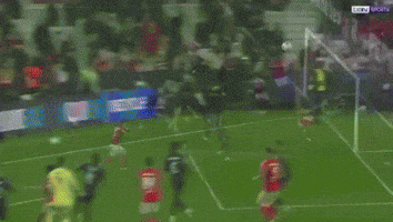 Real Madrid Benfica GIF