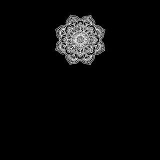 TribuYogaApp GIF