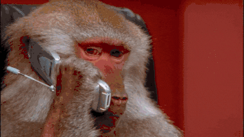 Haut Pour Monkey Mad At Computer Gif Abdofolio