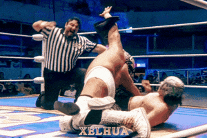 Lucha Libre Fighting GIF by FilmmakerLife