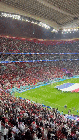 France Fans GIF by Storyful
