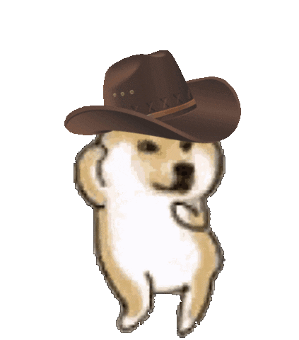 Gif Meme Dogo Original Doge GIFs Find & Share On GIPHY