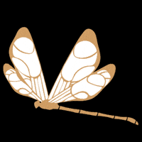 PerrierJouet-dragonfly-perrier-jouet-perrierjouet-DDrU9WqTZXBtfvfVQx