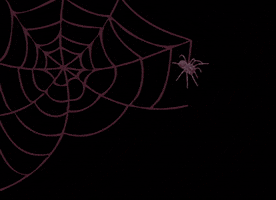 Web Spider GIF