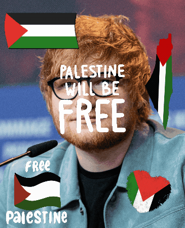 Ed Sheeran GIF