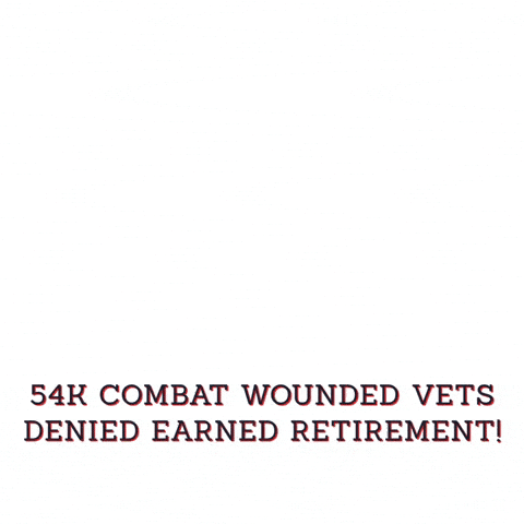 Veterans GIF by Pass the Act