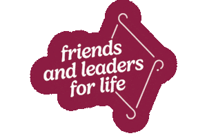 Pi Phi Angels Sticker by Pi Beta Phi Fraternity for Women