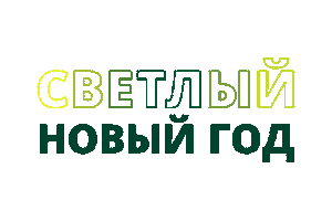 New Year Новый Год Sticker by fondsvet
