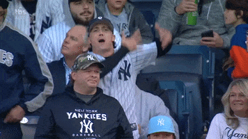 New York Yankees Baseball GIF by MLB
