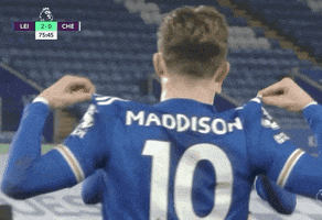 Leicester City Fc Yes GIF