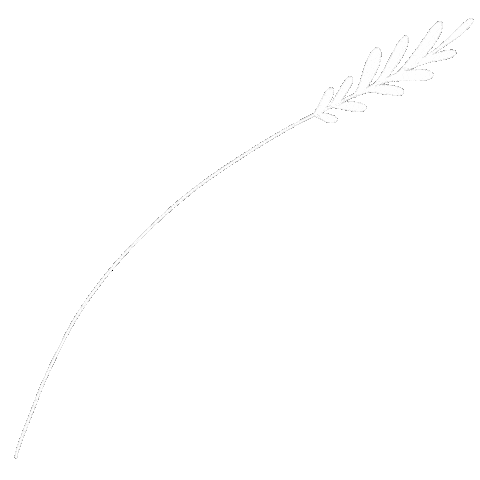 Flowers Plant Sticker