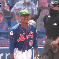 Baseball-lover GIFs - Get the best GIF on GIPHY