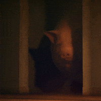 nouvellesimages-ensi-ecole-des-nouvelles-images-DGmGFJVliDqMo52RHf