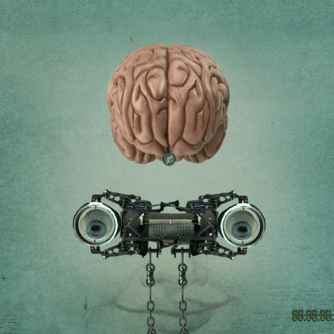 SESIUS GIF