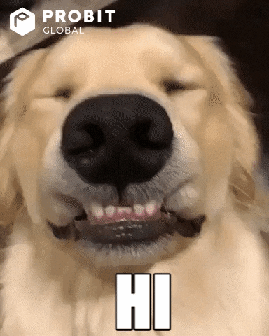 Happy-golden-retriever GIFs - Get the best GIF on GIPHY