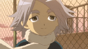Inazuma Eleven Wind GIF