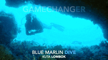 Scuba Diving Gamechanger GIF by BMKL