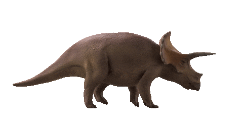 Triceratops GIFs on GIPHY - Be Animated