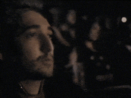 Faislander GIF