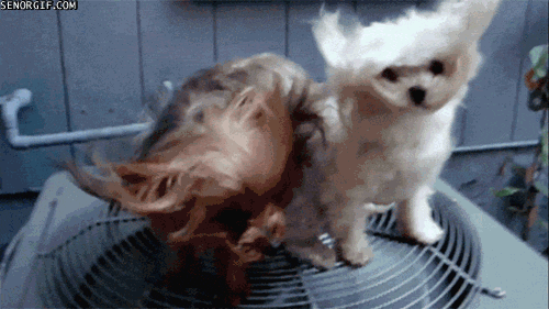 Air Conditioner GIFs - Get the best GIF on GIPHY