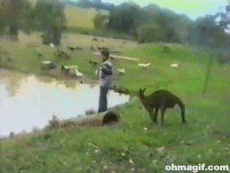 giphy.gif giphy.gif