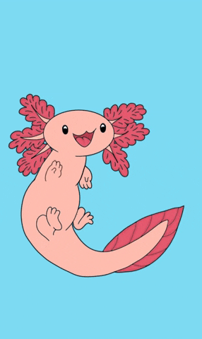 Kawai Axolotl Gif Find Share On Giphy