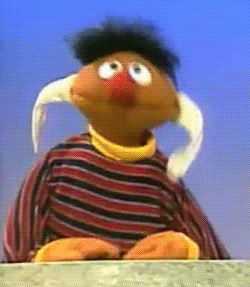 sesame street muppets GIF