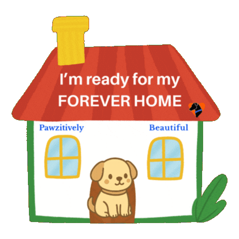 Adopt Me Black Dog Sticker by Pawzitively Beautiful