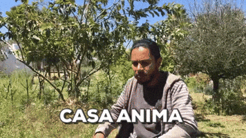 baseline  GIF