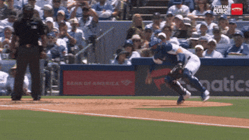 Mlb Chicago GIF