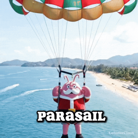 Parasail GIF by LobsterClaus