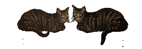 Cats Judging Sticker