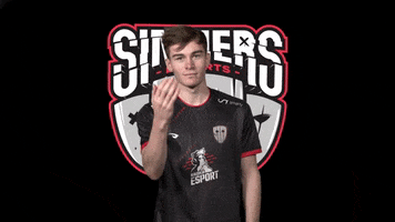 Come At Me Bring It GIF by SINNERS Esports