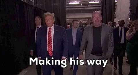Donald Trump Fight GIF