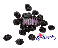 Mora Healty Sticker by Sant'Orsola