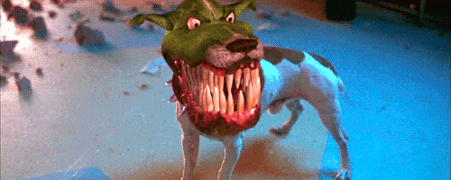 Dog Mask GIFs - Find & Share on GIPHY