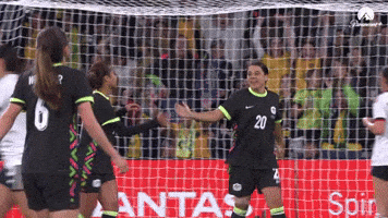 Celebration Goal GIF by Football Australia