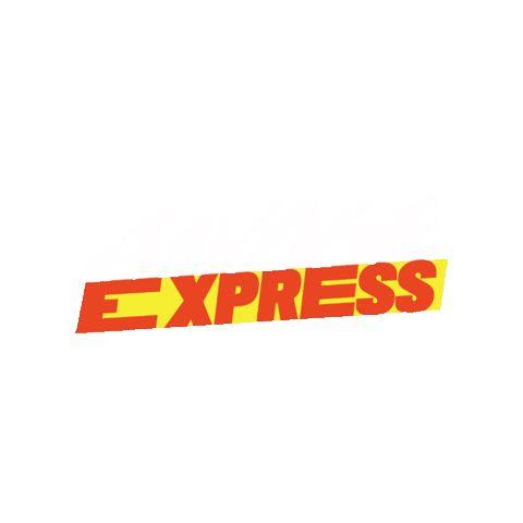 SAVAGE CO Sticker
