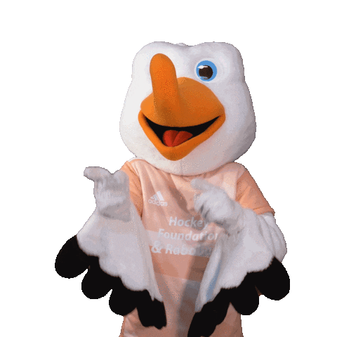Holland Ek Hockey Sticker by OranjeHockey