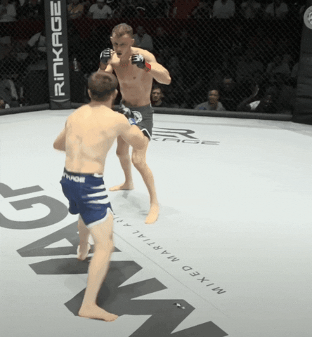 Knockout Fighting GIF by Old School Academy
