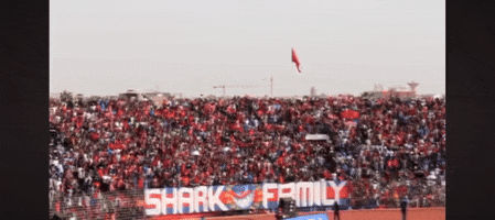 Ultrasshark07 GIF