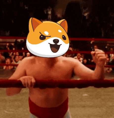 Money Crypto GIF by Baby Doge Coin