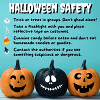 Trick Or Treat Halloween GIF by Manatee County Government