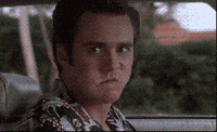 Liar Liar I M Kicking My Ass Gif By Jerology Find Share On Giphy Liar Liar I M Kicking My Ass Gif By Jerology Find Share On Giphy