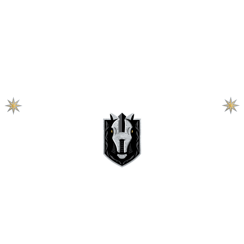 Henderson Silver Knights Sticker