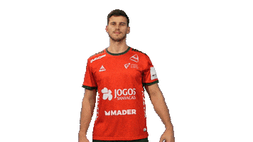 Letsgovamos Sticker by Federação de Andebol de Portugal